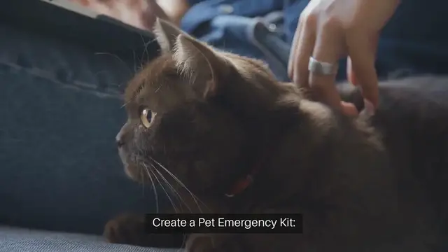 Video thumbnail for Emergency Preparedness for Pet Owners