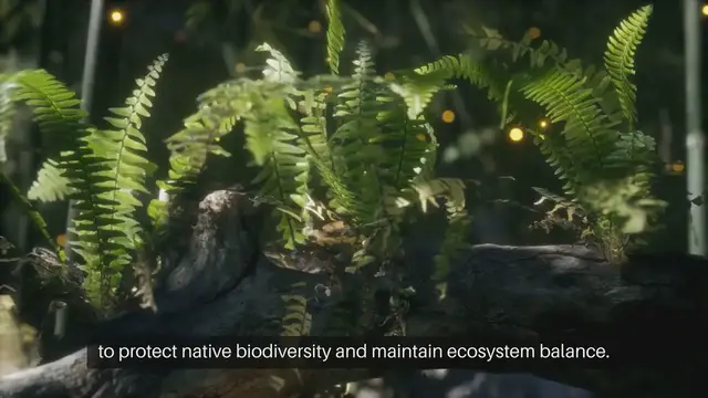 Video thumbnail for Preventing Spread of Invasive Plants