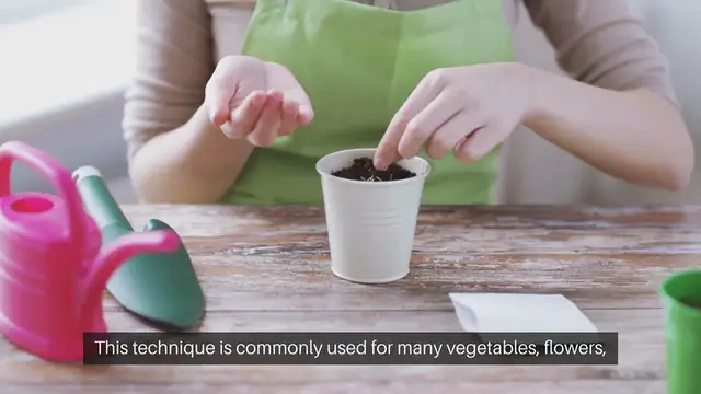 Video thumbnail for Direct Seeding Techniques