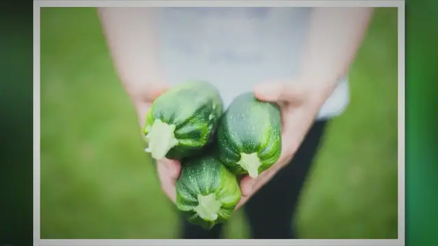 Video thumbnail for A Beginner’s Guide to Growing Your Own Food, No Experience Required
