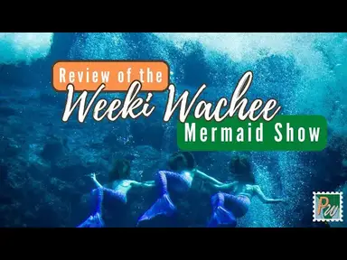'Video thumbnail for Weeki Wachee Mermaid Show'