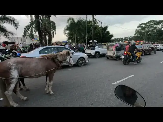 Video thumbnail for আল্লাহর সৃষ্টিতে তুমি কোনো খুঁত দেখতে পাবে না তুমি আবার তাকিয়ে দেখো কোনো ত্রুটি দেখতে পাও কি ?