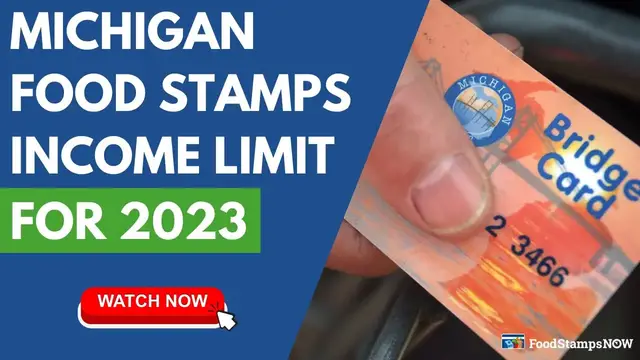 Video thumbnail for Michigan Food Stamp Income Limits for 2023
