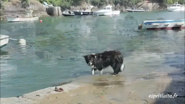 'Video thumbnail for Le port de Doëlan'