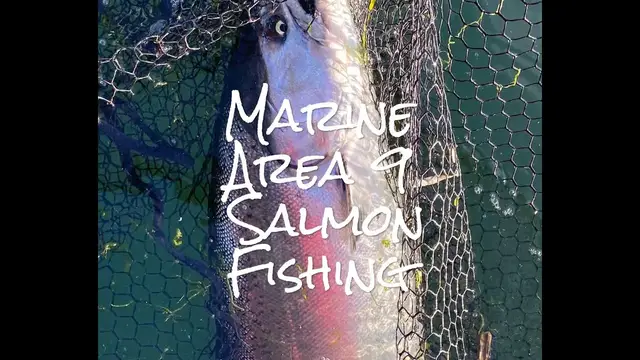 Video thumbnail for Marine Area 9 Salmon Fishing - July 2023 - The tides determine where you fish!