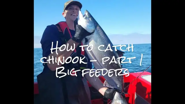 'Video thumbnail for How to CATCH Chinook Salmon - Part 1 - Actively Feeding King Salmon'