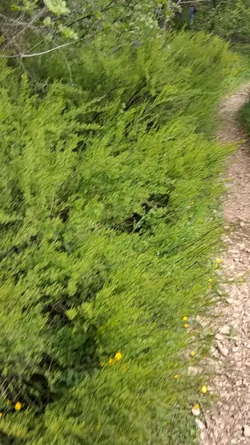 Video thumbnail for 20250421_104638.mp4