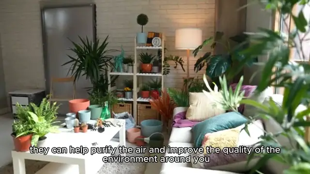 Video thumbnail for Best Indoor Plants for Clean Air