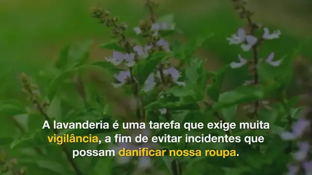 Video thumbnail for 8 roupas que você não deve mais lavar na máquina de lavar, de acordo com um especialista