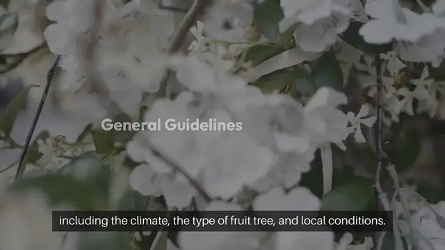 Video thumbnail for Best Time to Plant Fruit Trees
