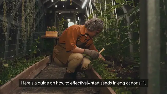 Video thumbnail for Starting Seeds in Egg Cartons
