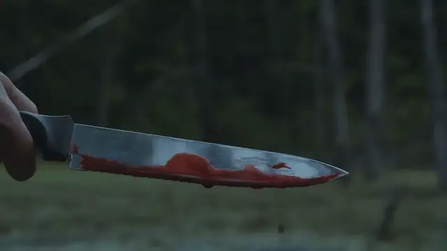 Video thumbnail for Tragic_Murder_of_Rose_Dieujuste