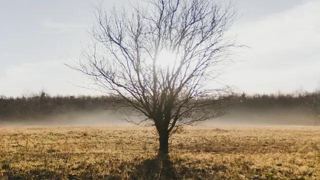 Video thumbnail for Devocionales cristianos | Devocionales diarios | Devocional