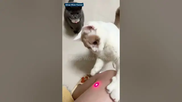 Video thumbnail for Pet Happiness || Laser Smart Amusing Collar for Kitten || Link is in Description || #cats #toys