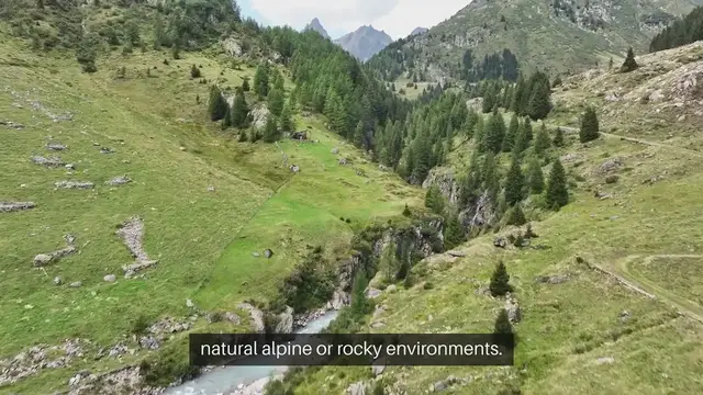 Video thumbnail for Seed Starting for Rock Gardens