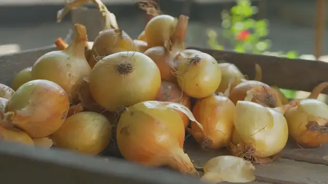 Video thumbnail for Pork and Cabbage Stew with Caraway Seeds Recipe