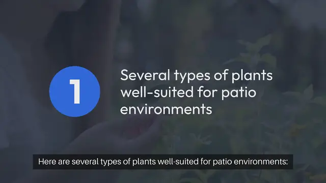 Video thumbnail for Indoor Gardening Patio Plants