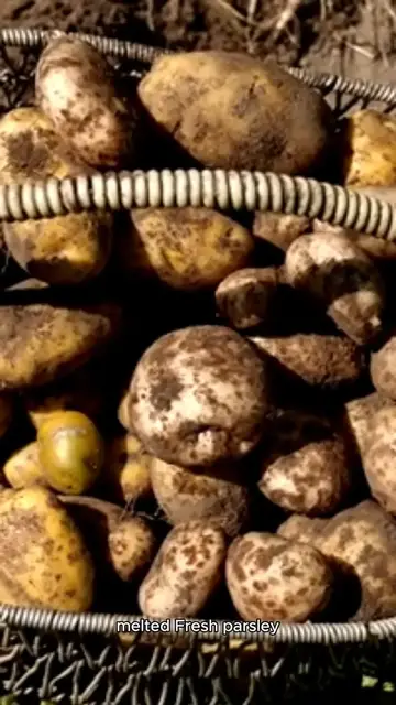 Video thumbnail for salt potatoes recipe