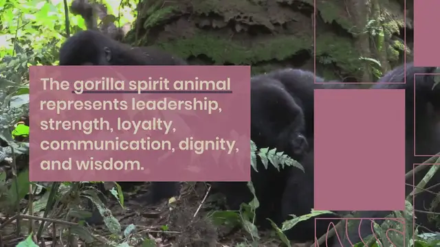 Video thumbnail for Gorilla Spirit Animal