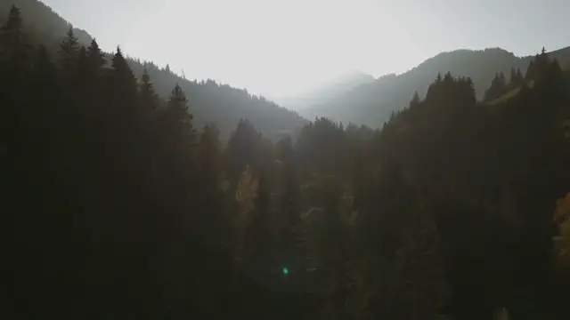 Video thumbnail for Elon Musk Net Worth 2024