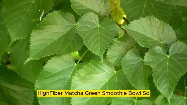 Video thumbnail for High-Fiber Matcha Green Smoothie Bowl