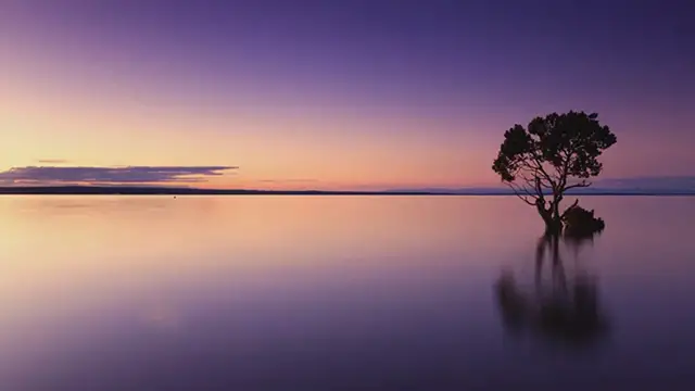 'Video thumbnail for 0B7151ED-441F-4B9B-AB20-A08C670BB040(1)_Merge(1)'