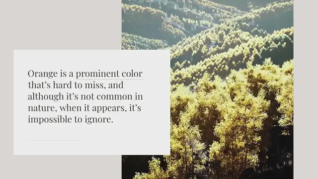 Video thumbnail for 14 Spiritual Meanings of the Color Orange