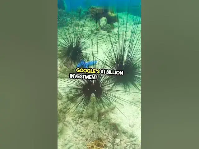 'Video thumbnail for Google to invest $1B in Japan’s subsea cables for better connectivity.#google #invest #japan #cables'