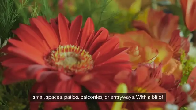 Video thumbnail for Cottage Garden Containers Creative Planting Ideas