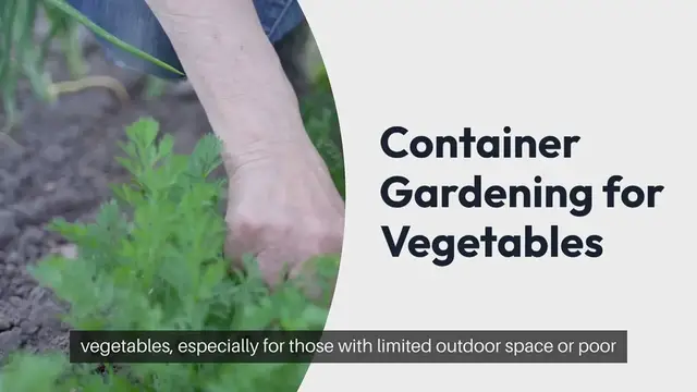 Video thumbnail for Best Vegetables for Container Gardening