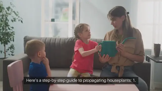 Video thumbnail for Propagating Houseplants Step by Step Guide