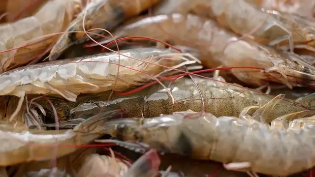 Video thumbnail for Lemon Shrimp and Orzo Recipe: A Zesty Delight with a Dash of Humor