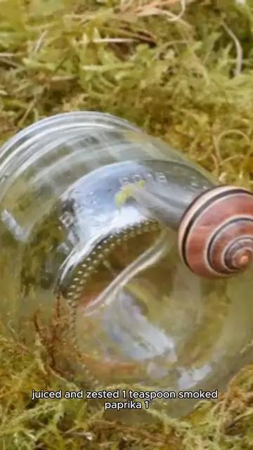 Video thumbnail for red snapper fillet recipe