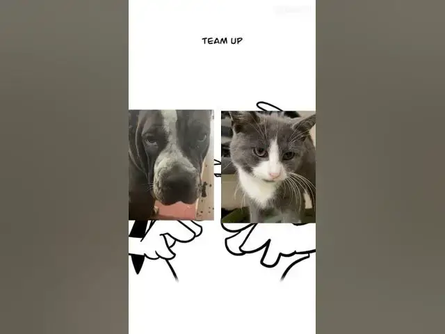 Video thumbnail for 10 October 2025