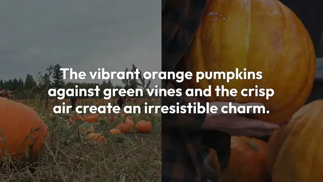 Video thumbnail for The Enchantment of a Pumpkin Patch