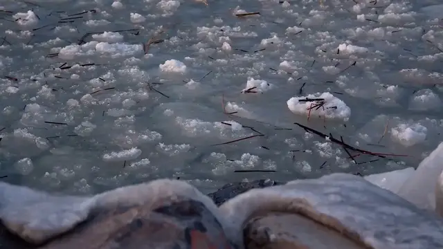 Video thumbnail for Water – The Essence of Life and Flow