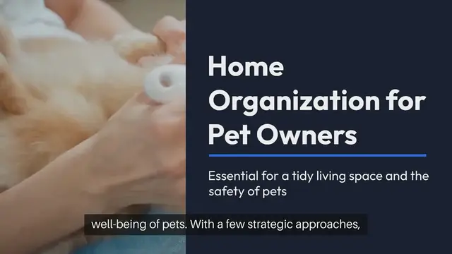 Video thumbnail for Home Organization for Pet Owners
