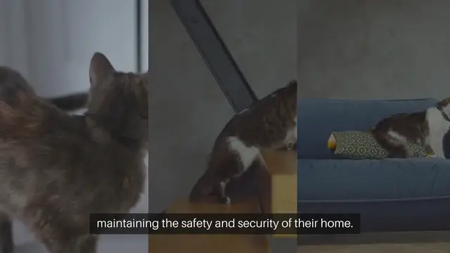 Video thumbnail for Secure Pet Doors