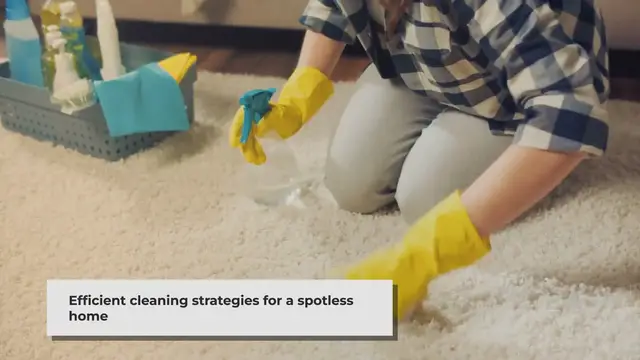 Video thumbnail for Genius and Speed House Cleaning Hacks from Pros