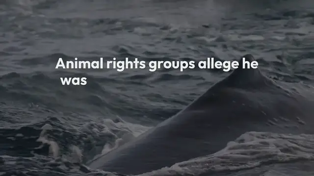 Video thumbnail for Hvaldimir_s_Mysterious_Death_Investigating