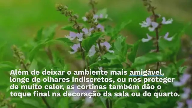 Video thumbnail for Despeje a cerveja em uma frigideira e veja o que acontece depois de alguns minutos