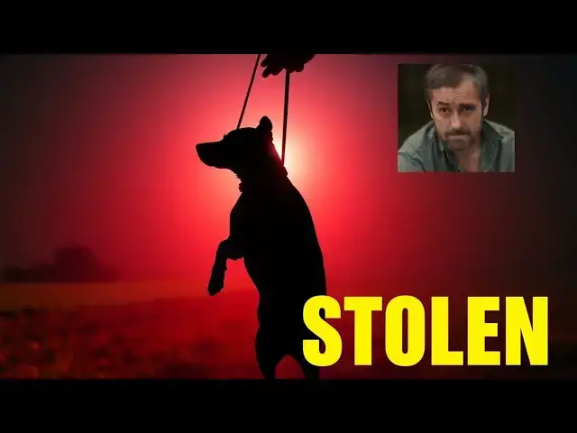 Video thumbnail for It’s been heartbreaking’: Pender County dog owners believe someone is stealing dogs in the community