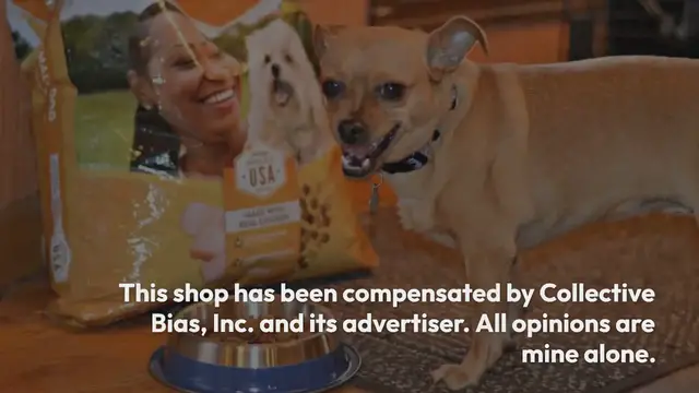 Video thumbnail for How To Make A Pamper Box For Your Dog