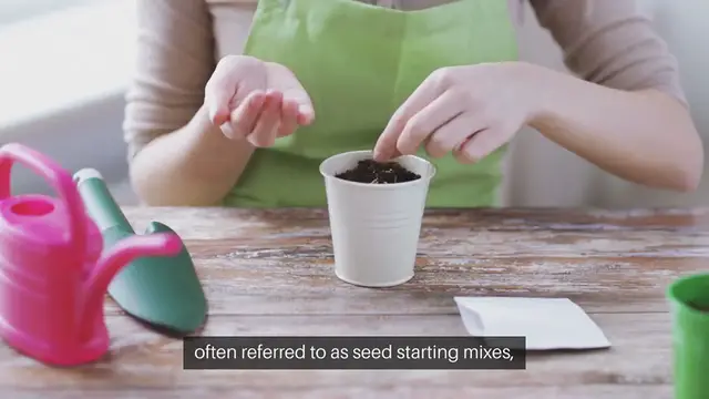 Video thumbnail for Starting Seeds in Soilless Mix
