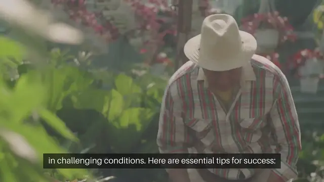 Video thumbnail for Extreme Weather Gardening Tips for Success