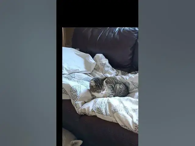 Video thumbnail for When tables are turned....   when Tiggs says know your place Ghost.