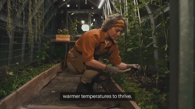 Video thumbnail for How to Start Seeds Indoors