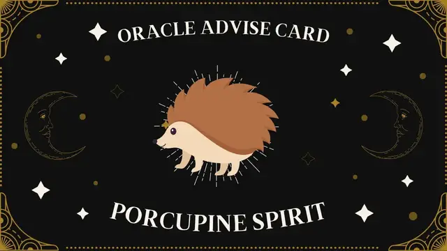 Video thumbnail for Pick A Card | Oracle Advise Card - Porcupine spirit