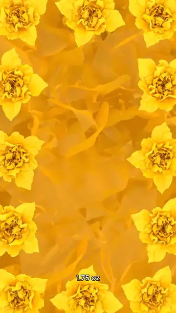 Video thumbnail for recipe for dandelion jelly