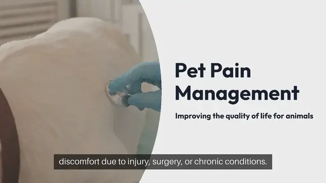 Video thumbnail for Pet Pain Management